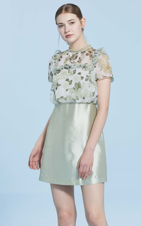 女装 连衣裙 caroline caroline卡洛琳2019夏季新品印花雪纺圆领仙女