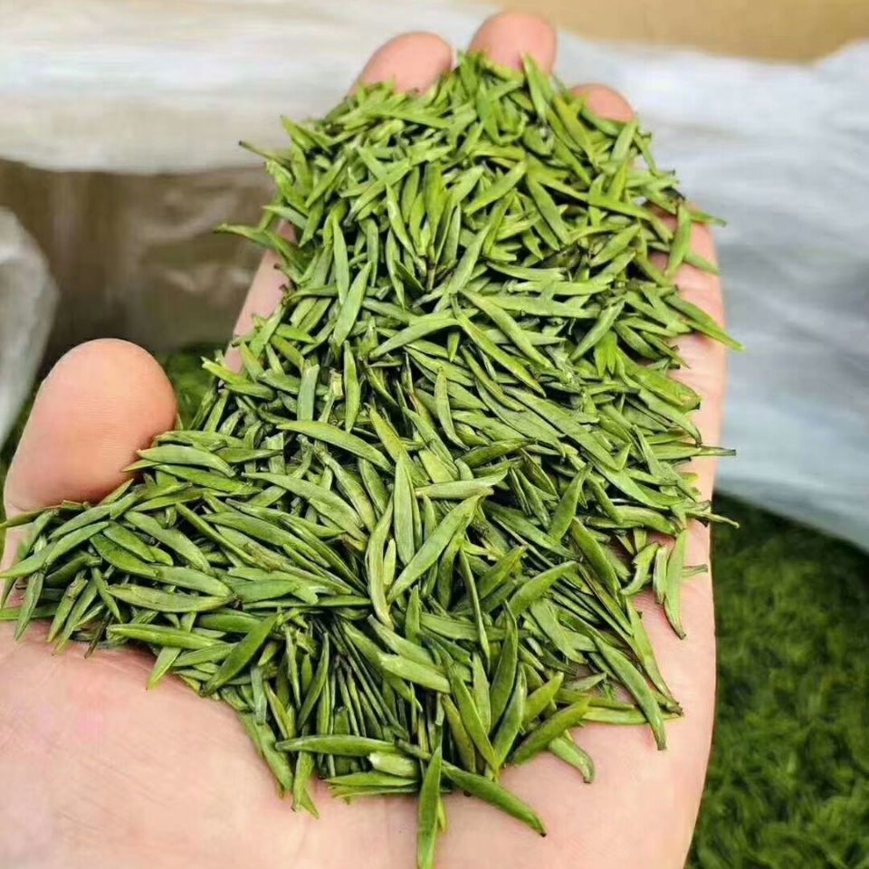 5折巴山雀舌250g20四川高端绿茶巴山雀舌新茶明前纯芽竹叶茶青毛尖特