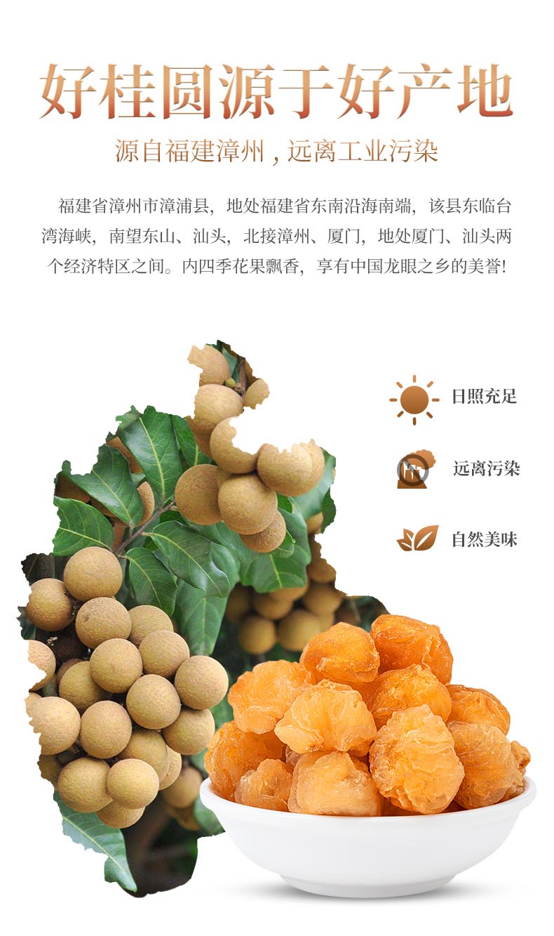 桂圆肉干无核非特级高州桂圆肉干500g龙眼肉干2021新货