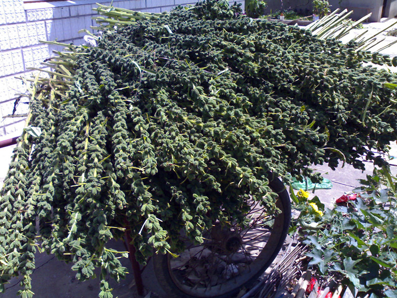 赣香婆 熟黑芝麻即食 驻马店有机河南特产500克 产500克【图片 价格