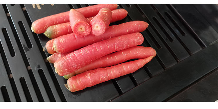 陶冷月蔬果胡萝卜图片