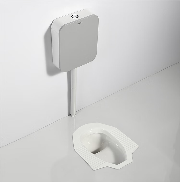科勒(kohler)蹲便器水箱套装蹲便器 蹲坑式陶瓷家用蹲厕便池防臭k