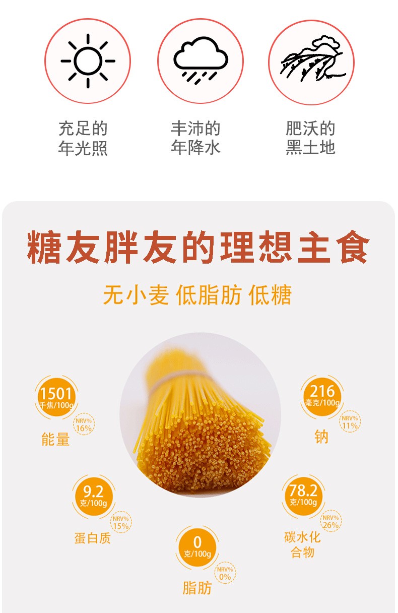 小米面条低敏营养面无小麦无麸质面条儿童细面健身杂粮面挂面 5盒