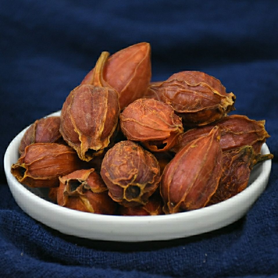 中药材山枝子山栀子红小栀子果栀子茶新鲜黄栀子干茶泡茶 山枝子100克