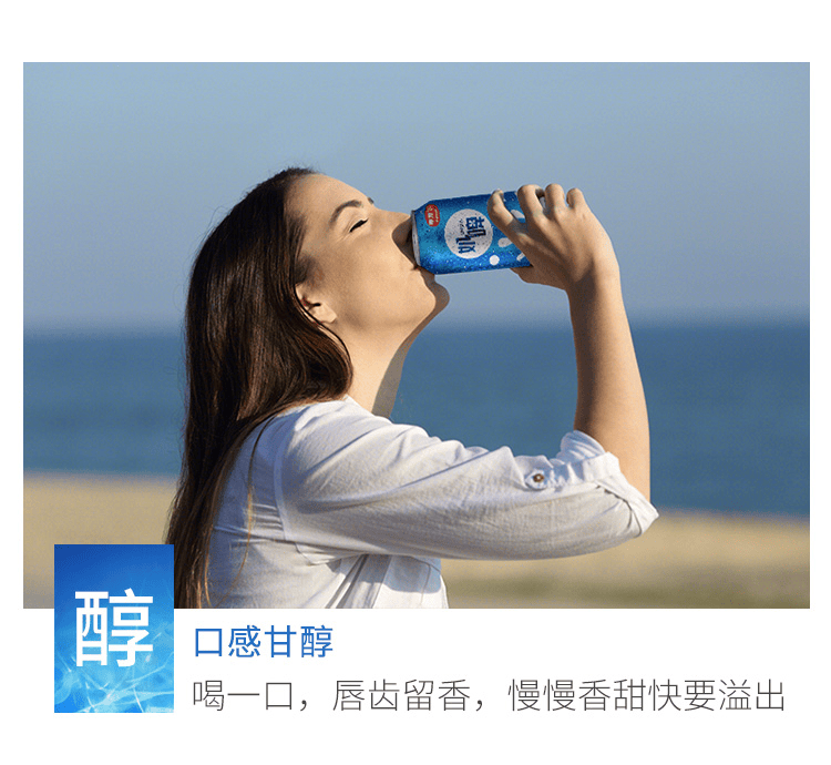 新疆麦趣尔奶啤乳酸菌饮料300ml*12罐 网红饮料奶啤 原味【图片 价格