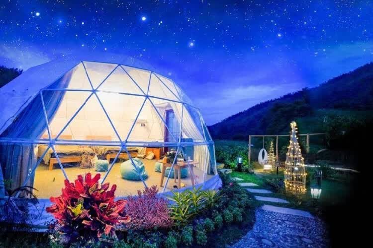 官猫透明泡泡屋景区露营餐厅民宿拍照活动展览户外星空帐篷房 直径5米