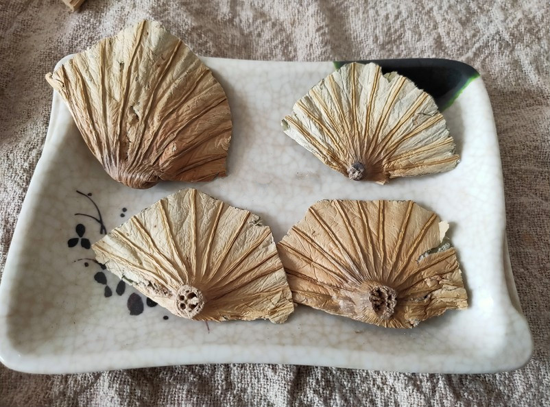 构趣构趣 中药材荷叶蒂 新货荷蒂 荷鼻 莲蒂 干荷叶蒂 荷叶顶 500g