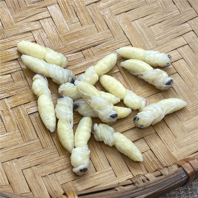 雲南特產野生蜂蛹新鮮馬蜂葫蘆蜂擁幼蜂鮮活冰凍500g順豐