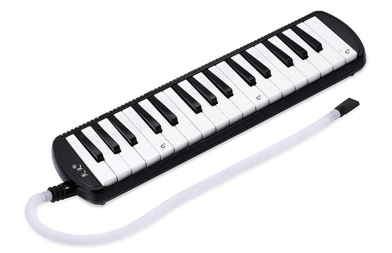 口风琴32键37键小学生初中教学用儿童专业演奏级吹管乐器32键高档硬包