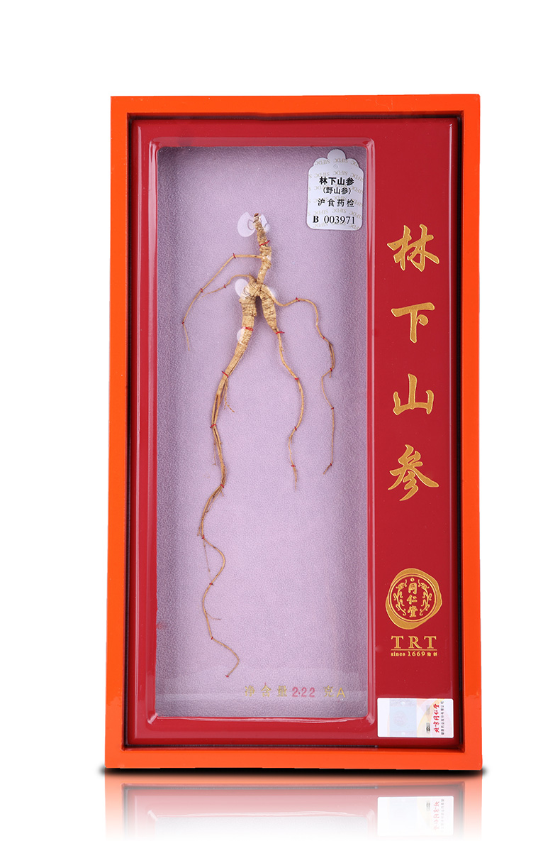 北京北京同仁堂山参林下山参长白山野山参人参礼盒道地15125ga林下