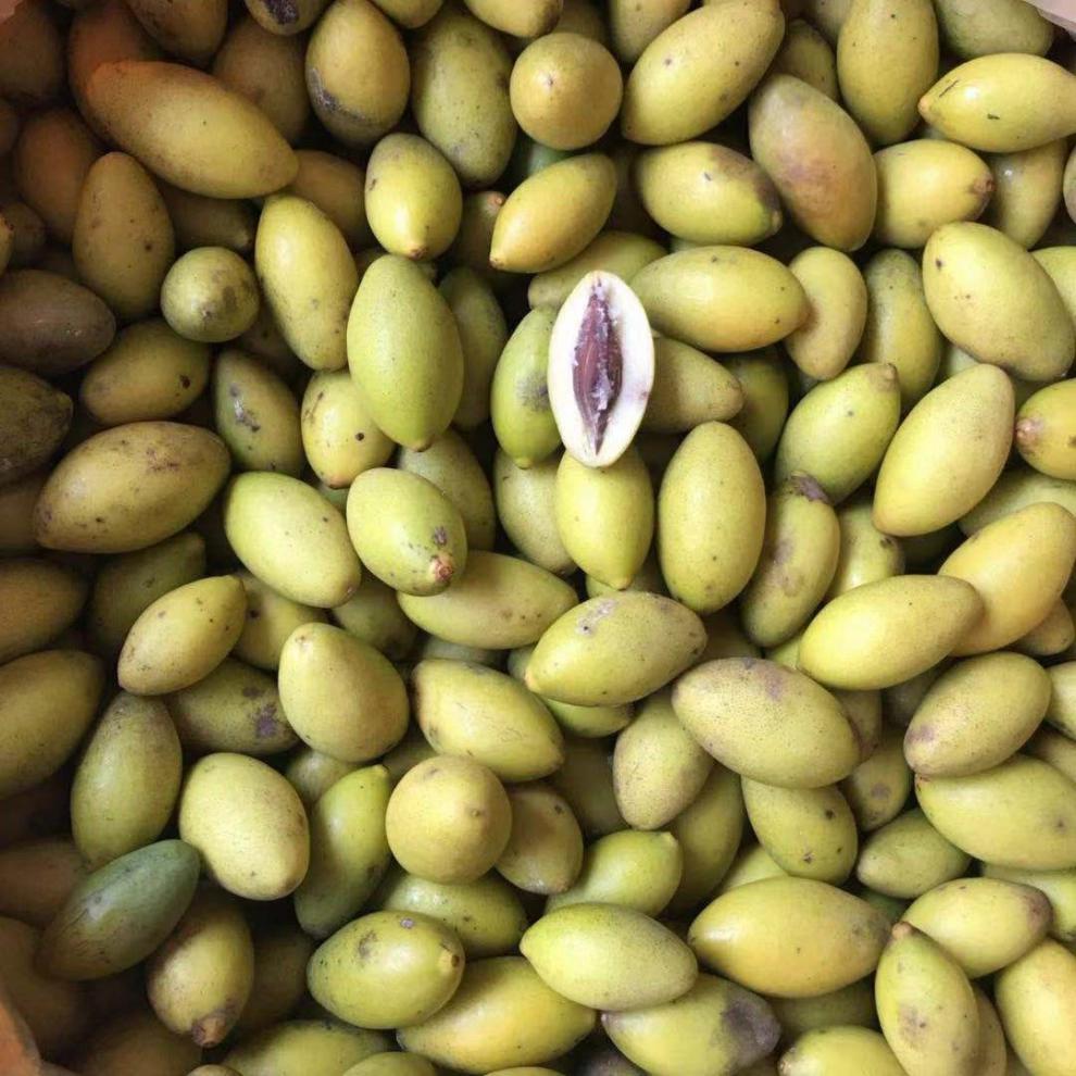 e新上市活动孕妇水果 现摘新鲜青橄榄 青果橄榄450g 潮汕特产青橄榄生