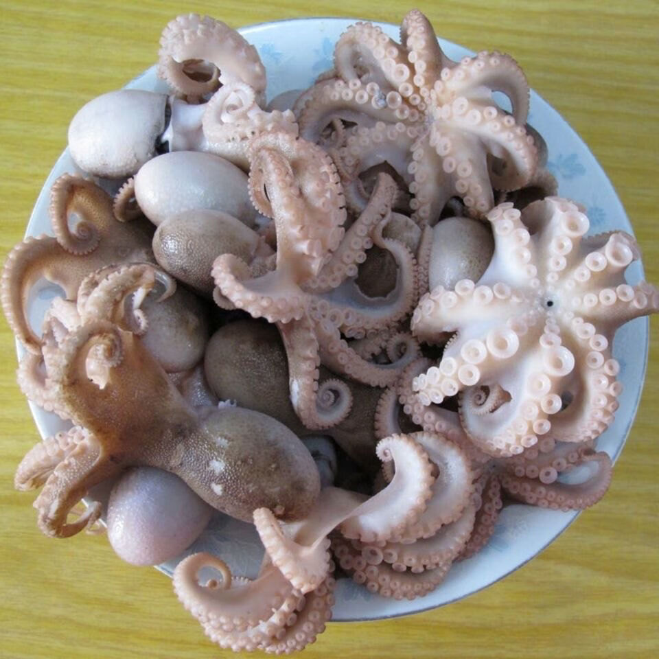 鲜活速冻三去八爪鱼翻花海产去牙去脏八爪鱼迷你八爪鱼 原汁八爪鱼 三