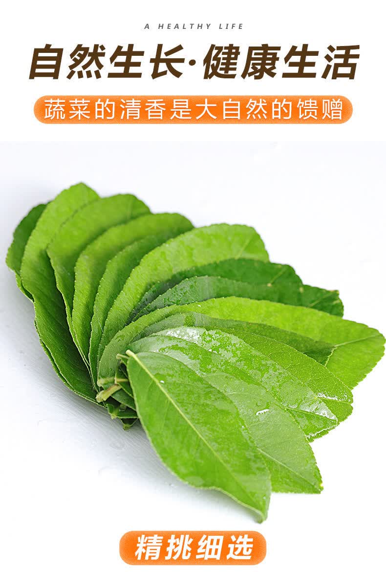 新鲜柠檬叶带枝烹饪香料青柠叶西餐料理冬阴功汤调料火锅配料新鲜柠檬