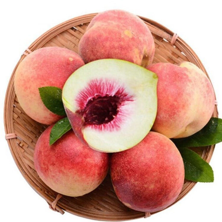 花溢满桃树苗嫁接桃树树苗庭院盆栽地栽果树苗阳山水蜜桃8年大苗结果