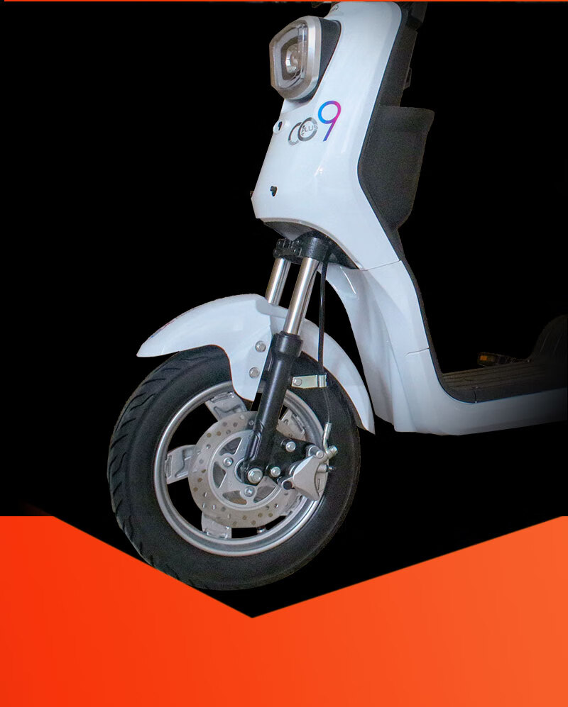 新国标009外卖 电动自行车锂电池长跑王专用送餐电瓶车家用代步车 新