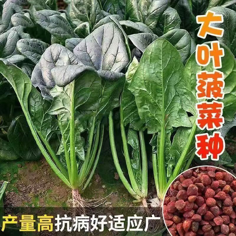 fb0434956172be77.jpg