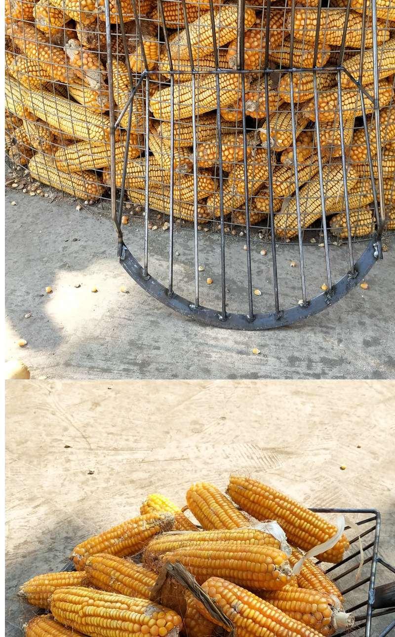 芦蜀铁叉子锹锨农业工具漏粒铲子神器煤叉子 玉米叉子 硬杂木柄【图片