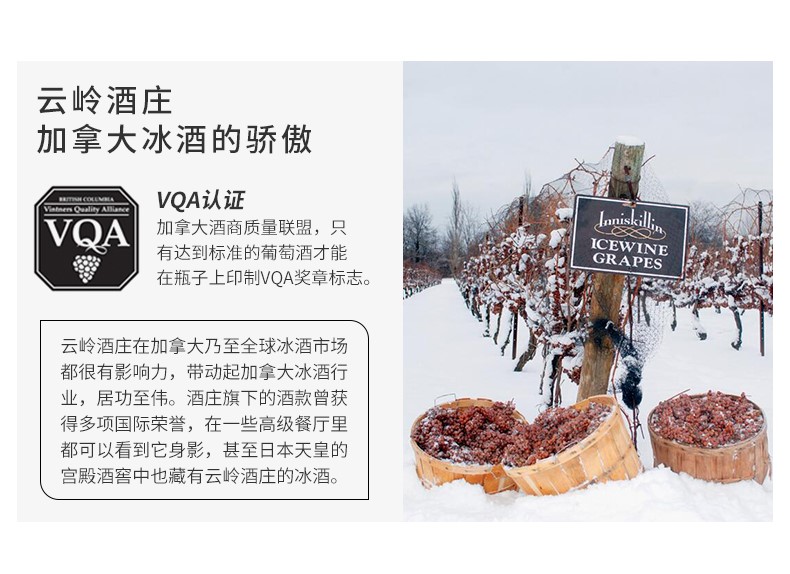 云岭(inniskillin)加拿大 inniskillin 云岭威代尔气泡冰葡萄酒 spark