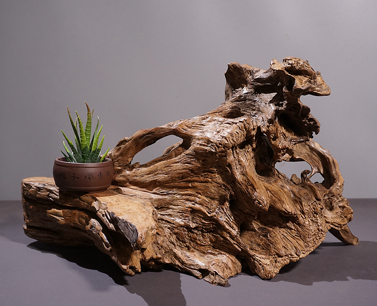 风化枯木树根雕根艺底座电视柜软装饰品禅意摆件功夫茶道干泡茶台m 浅