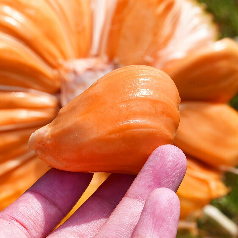 红肉菠萝蜜肉新鲜现剥菠萝蜜肉当天现剥新鲜水果口感香甜菠萝蜜果肉