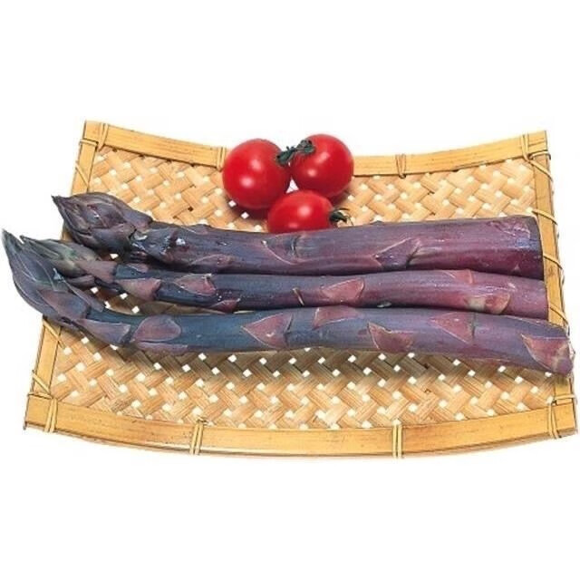 【种子大全】进口芦笋种子四季盆栽蔬菜种子多年生四季播种高产籽 白