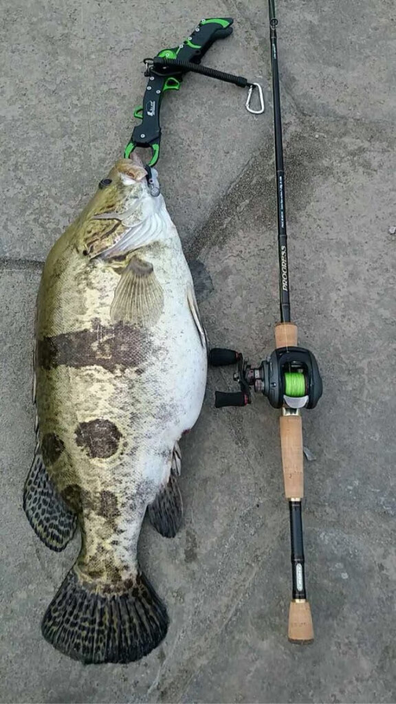 路亚男孩鳜鱼翘嘴t尾白条鱼路亚饵软饵假饵软饵软虫仿生假饵套装 10cm