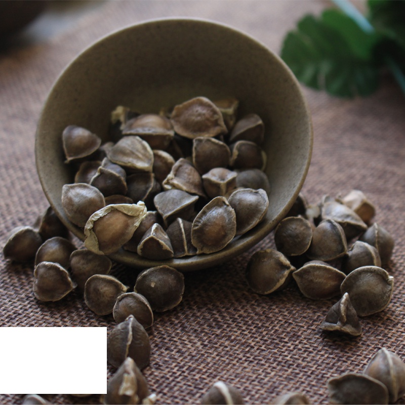 特产大颗粒印度辣木籽进口天然野生正宗木辣子辣木子食用250克【图片