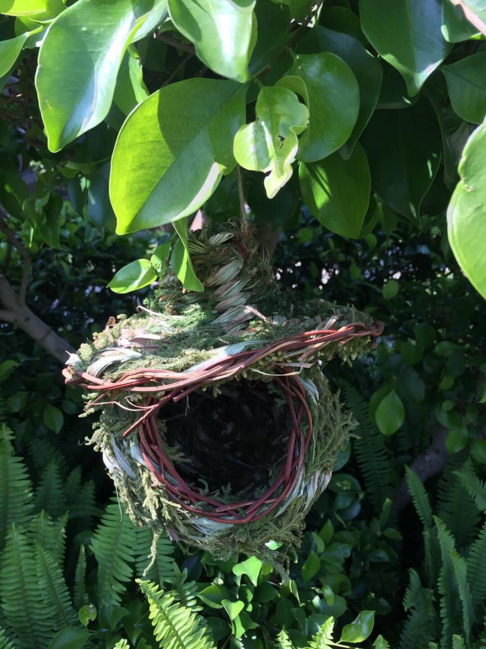 新款鸟窝鹦鹉繁殖箱挂窝草编鸟窝玄凤牡丹虎皮鹦鹉文鸟珍珠草窝小鸟巢