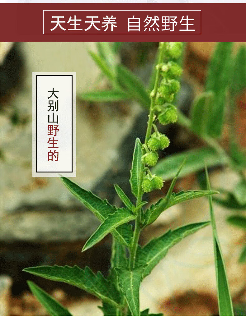 珍珠透骨草 500 大别山透骨草 干货泡脚 嘉万滋补【图片 价格 品牌