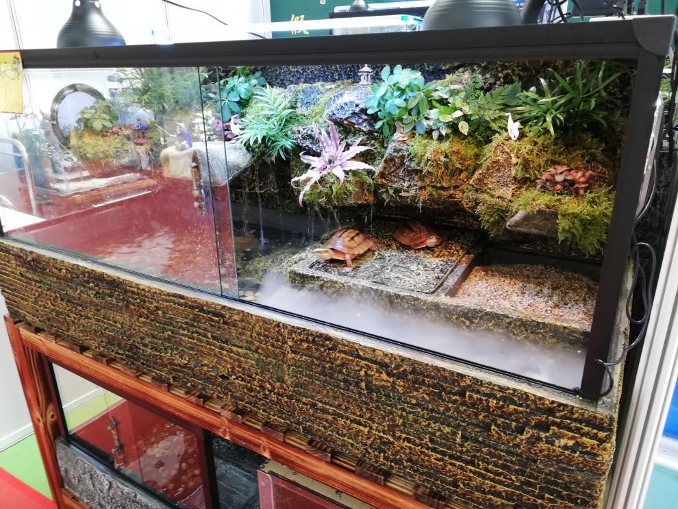 乌龟缸带晒台玻璃水龟缸雨林造景水陆缸缸黄缘龟缸巴西龟缸 yp-1350特