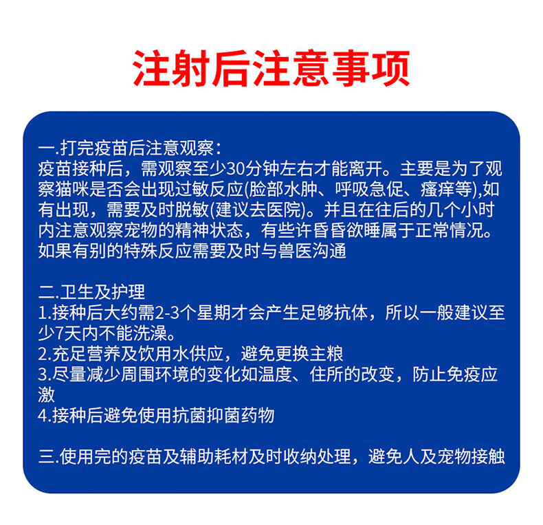 099f5ac72ce17131.png
