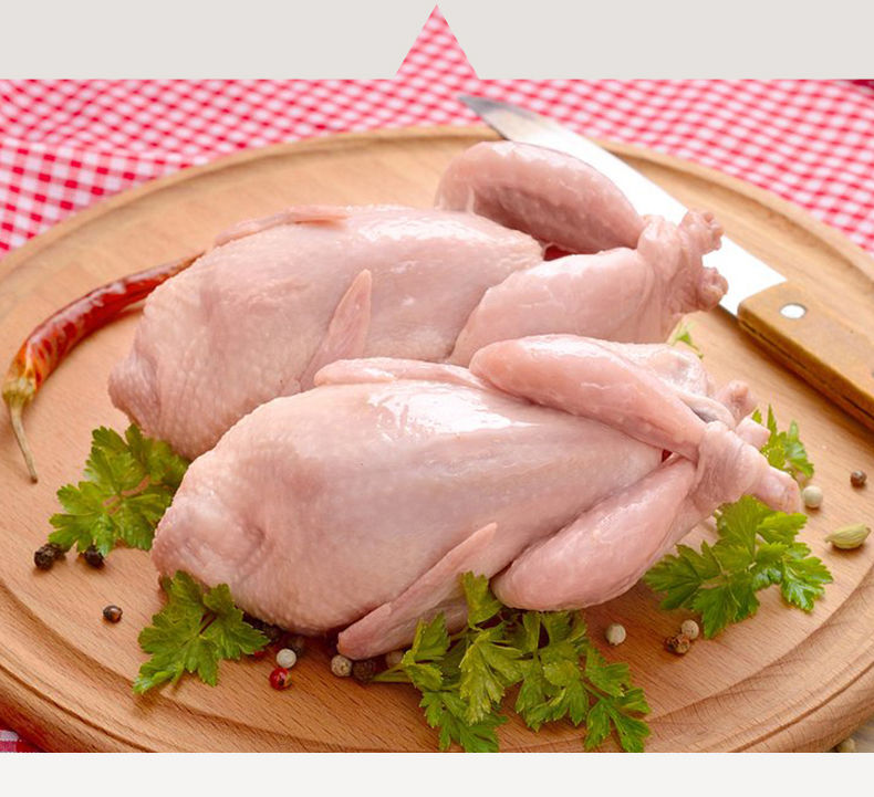 新鲜现杀鹌鹑肉放血白条鹌鹑肉1020只10只装鹌鹑肉