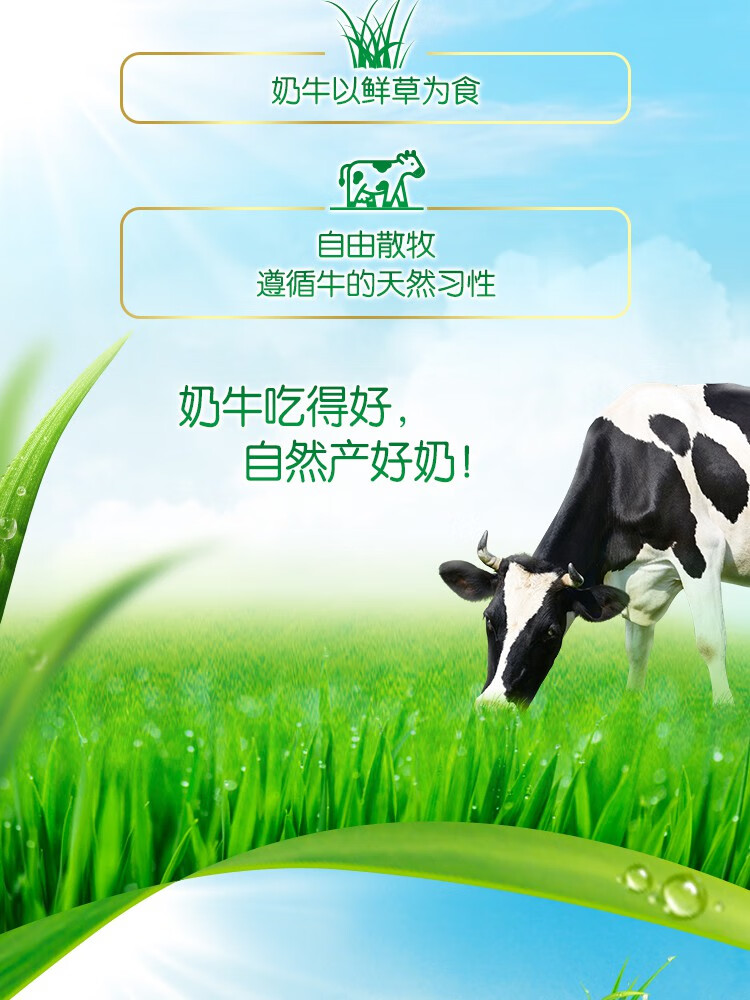 伊利新西兰全脂奶粉1000g不添加蔗糖成年人学生全家营养