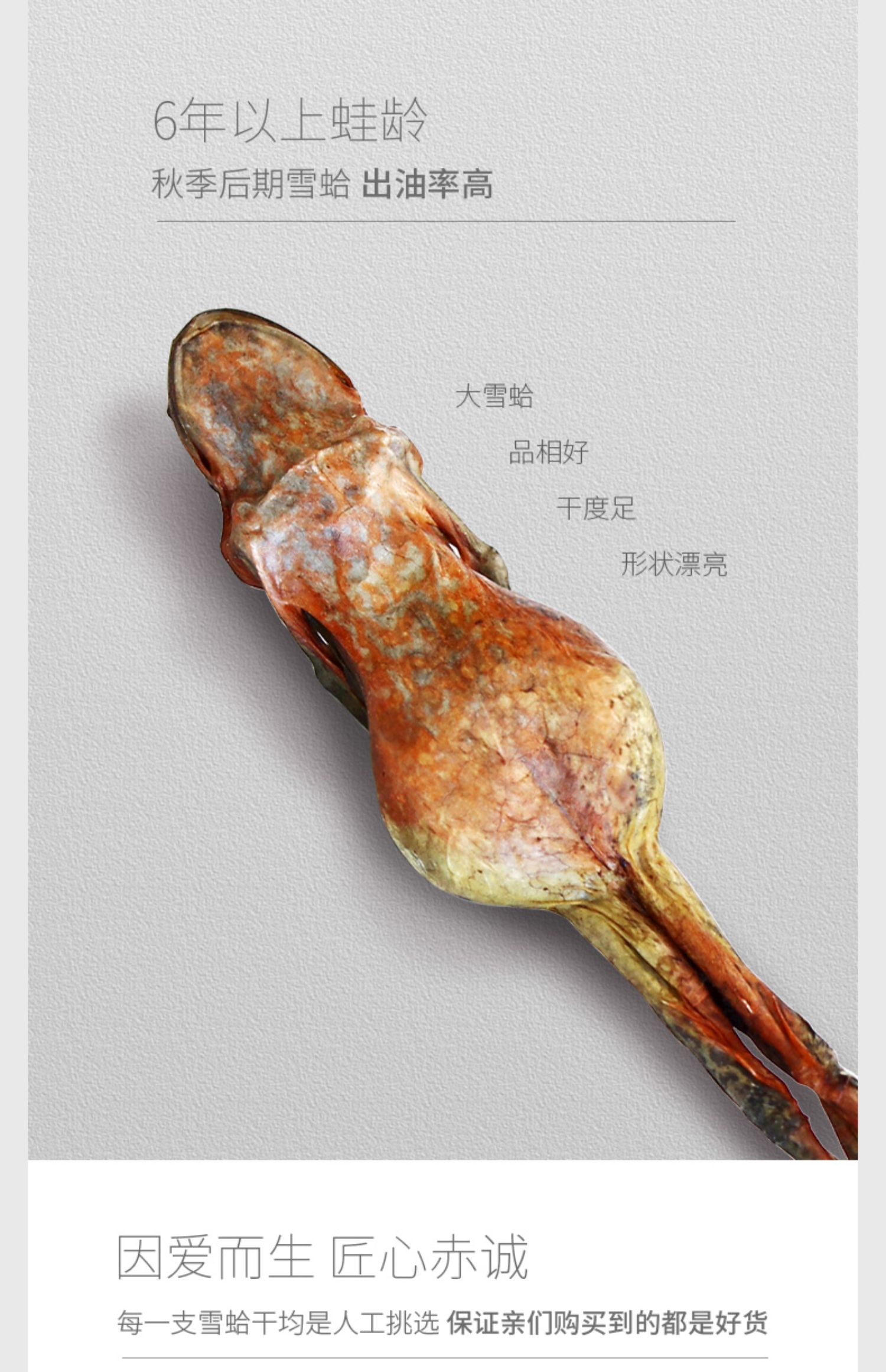 雪蛤干13克*10只东北林蛙干整只干货蛤蟆油雪哈旗舰店【图片 价格