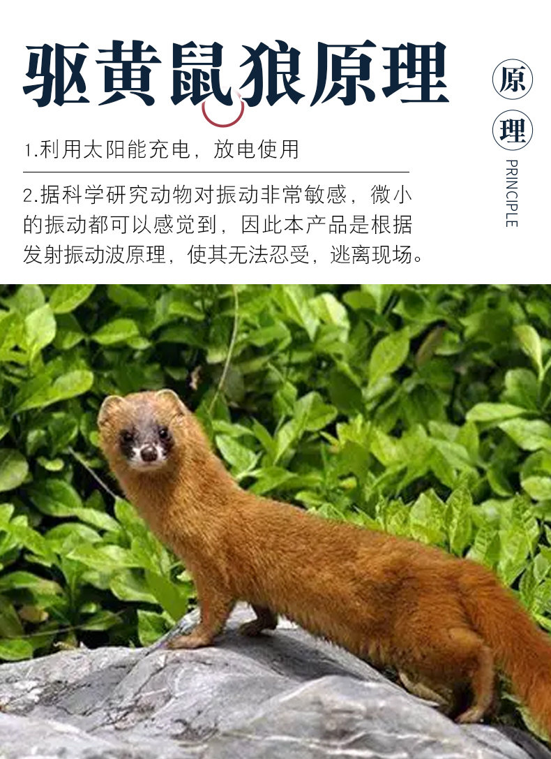 黄鼠狼克星驱赶神器驱赶神器太阳能驱黄鼠狼户外超声波大功率驱赶