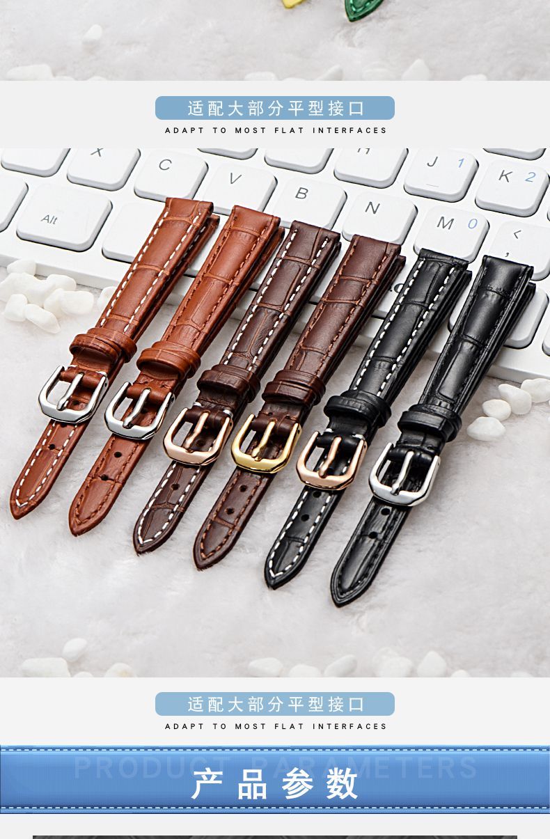 彩岸手表带适用于纯皮表带男女通用平接口表链适配dw天梭铁达时芙丽