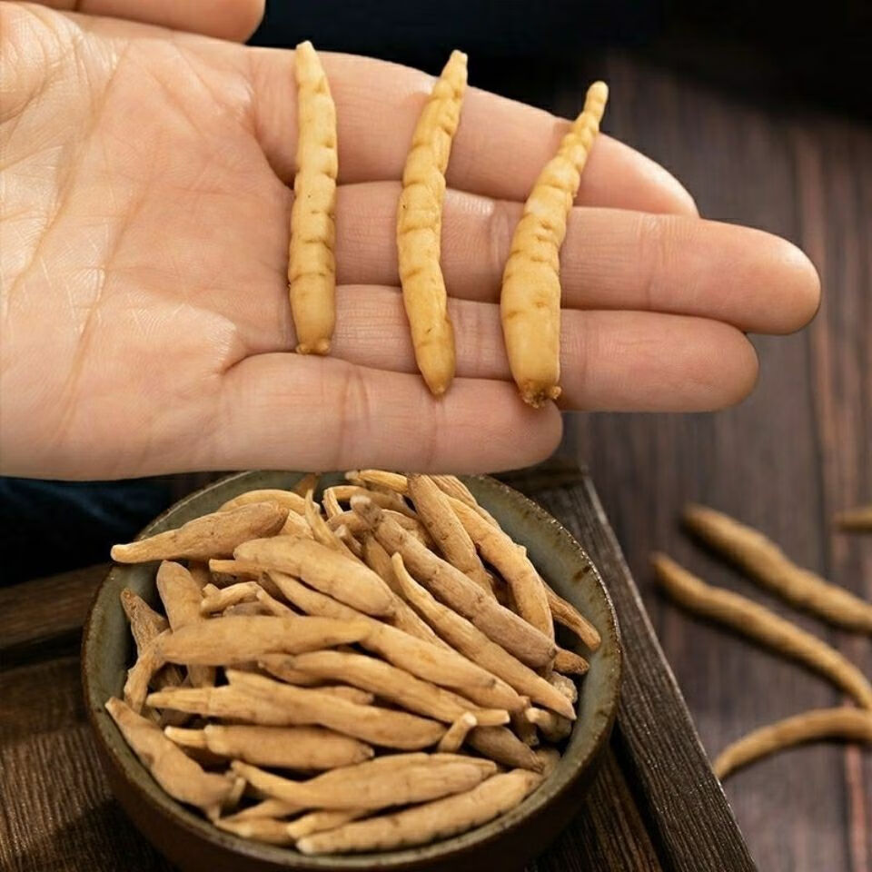 【野生太子参】太子参孩儿参天然纯无硫儿童正宗非精选野生干 5年野生