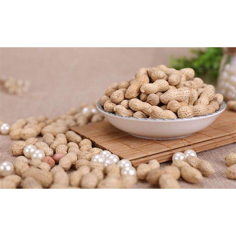 盛兴源山核桃花生500克袋特产炒货香酥脆休闲零食散装坚果ktv 山核桃