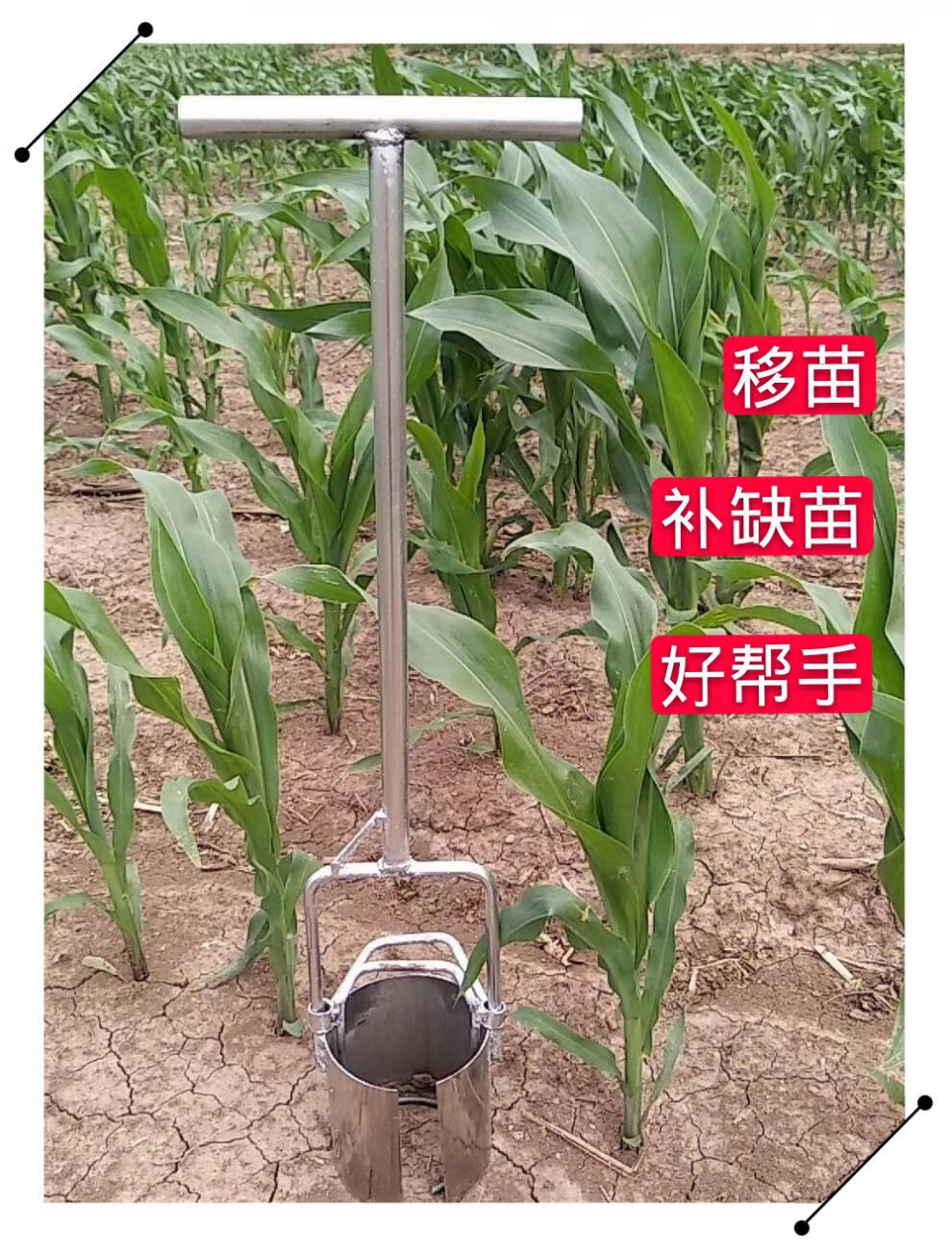 移苗神器移栽器不锈钢补玉米苗多功能移秧苗起苗特惠耕种机械 7