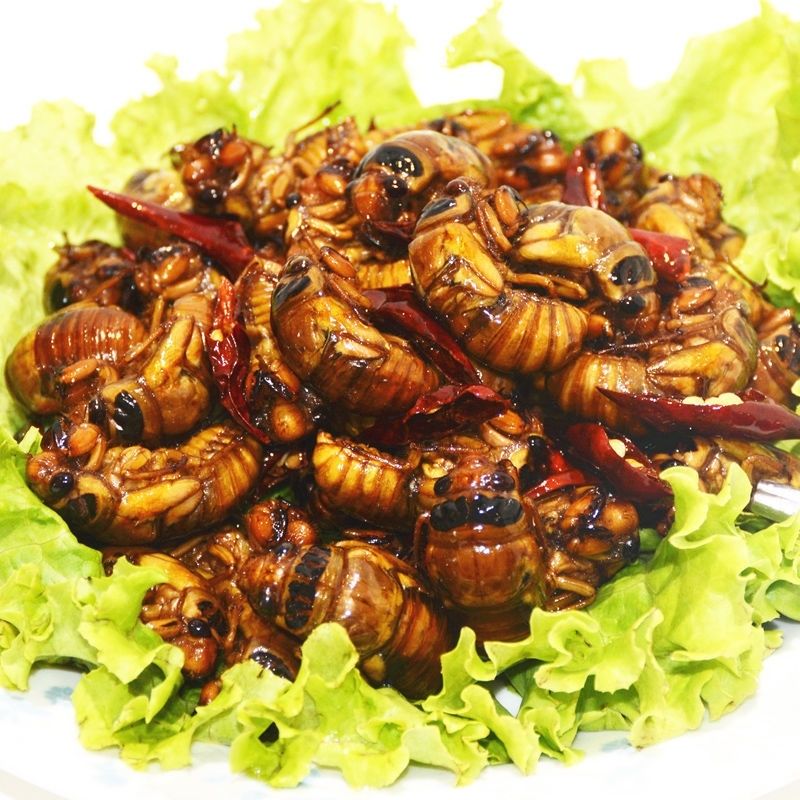 5折 油炸鲜活知了猴 现炸蝉知了猴 即食蝉 鲜活现炸蝉 蝉 麻辣 香味 4