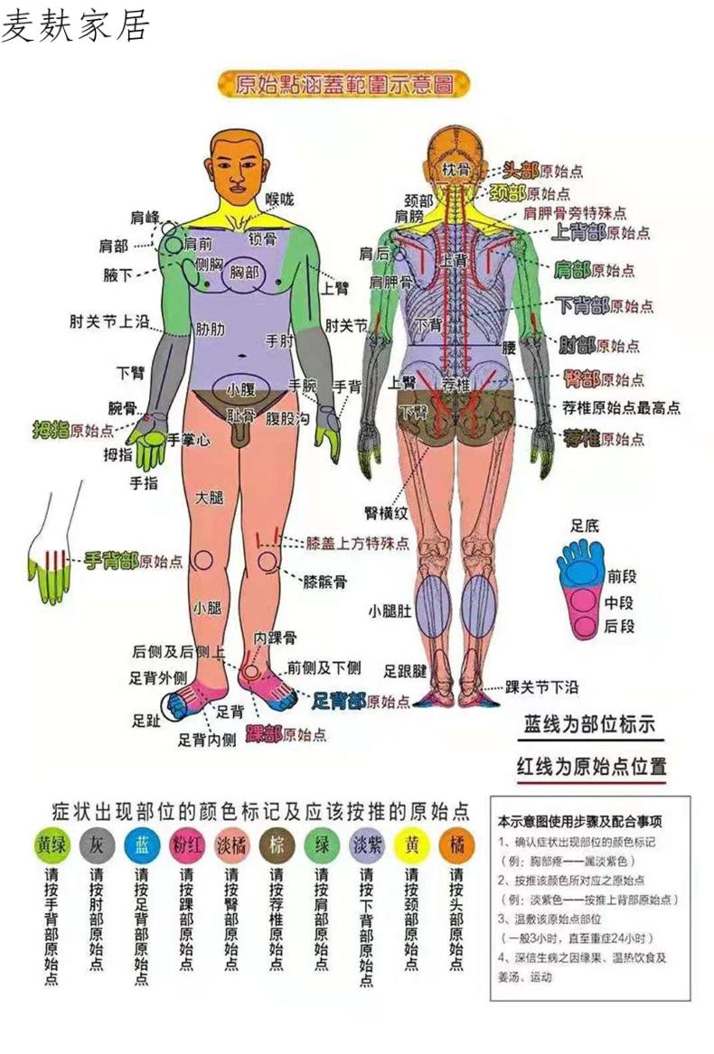 背部原始點按摩器肩胛骨自助靠背不求人肩部腰頸椎脊椎經絡棒悅芷雲