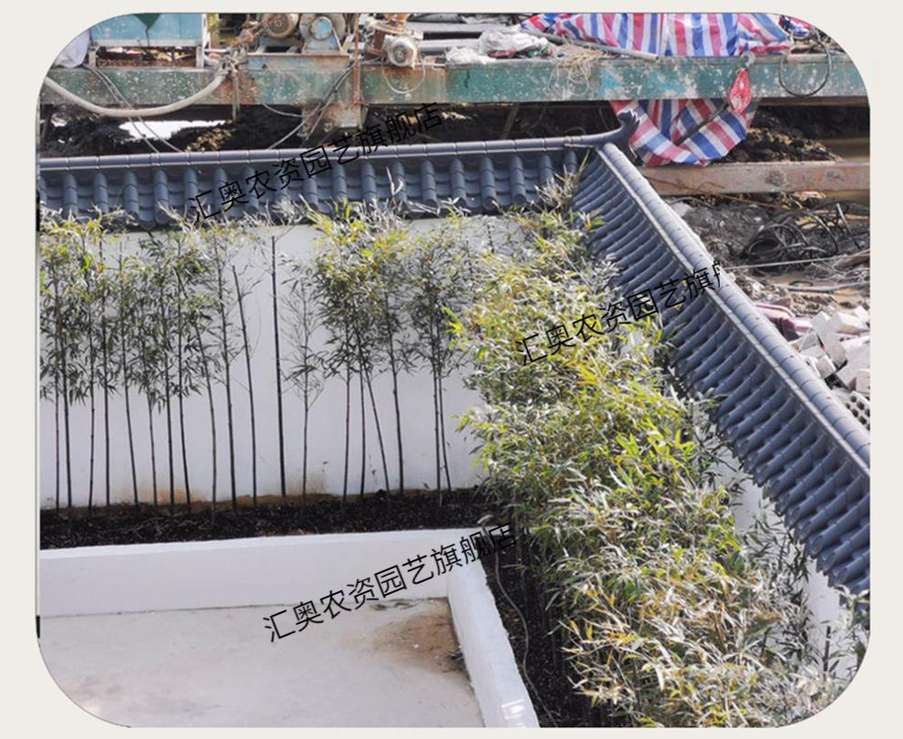 一体仿古瓦树脂瓦片屋顶屋檐装饰塑料树脂瓦古建门头围墙瓦汇奥深灰色