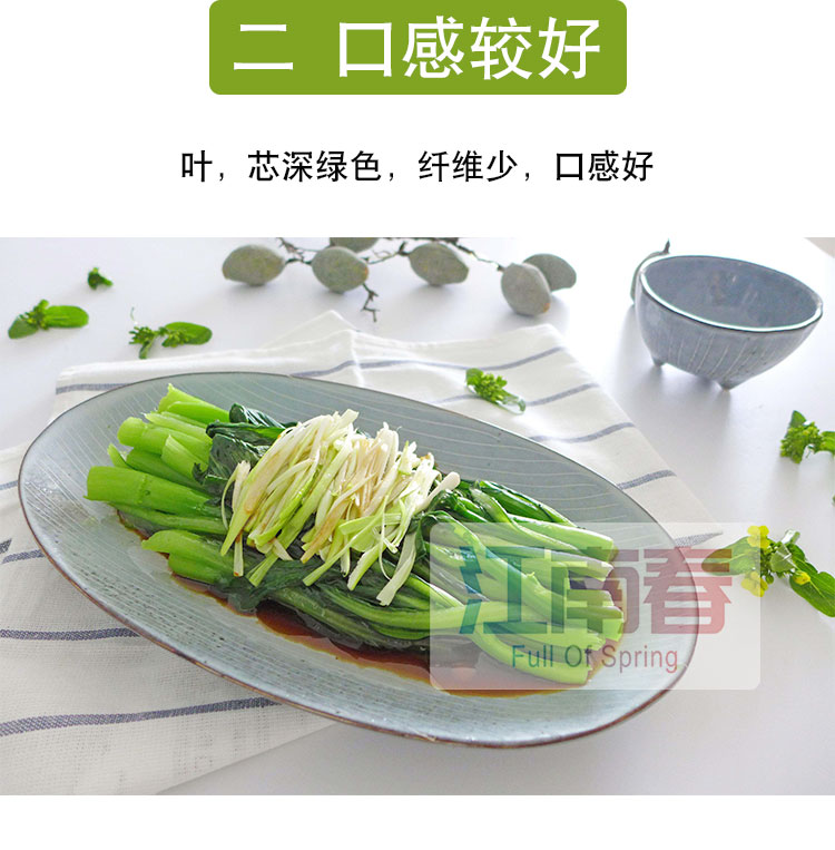 豐農裕連州菜心10g/袋【圖片 價格 品牌 報價】-京東