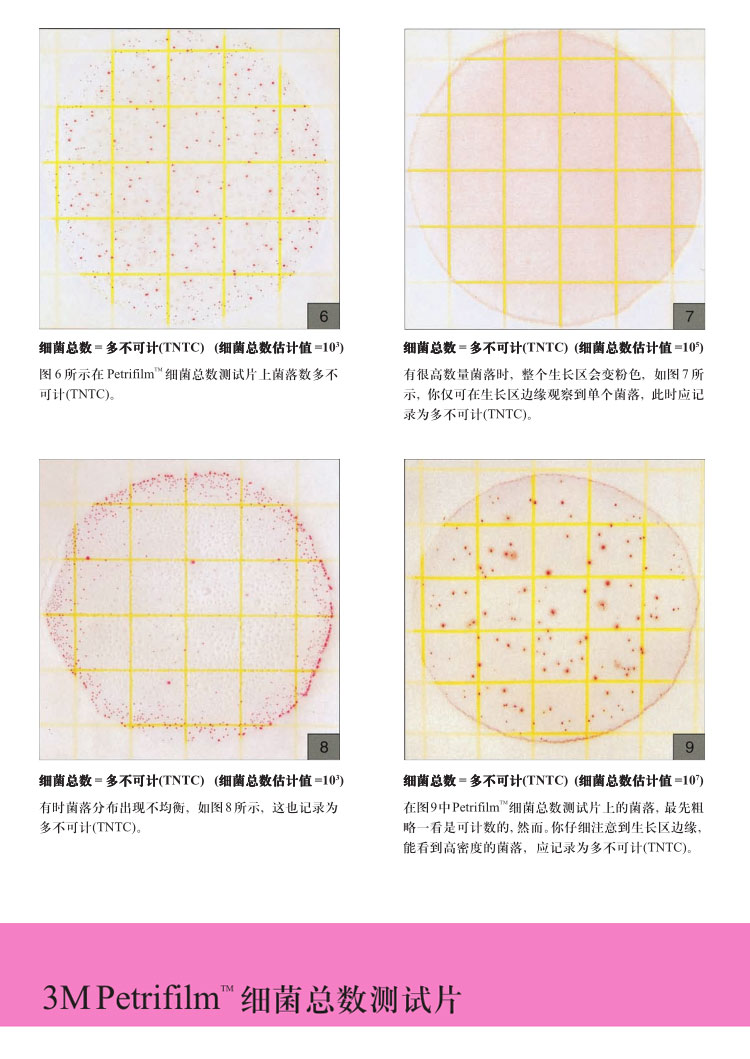 家装建材3m petrifilm64菌落(细菌)总数测试片快速检测纸片 6406 50