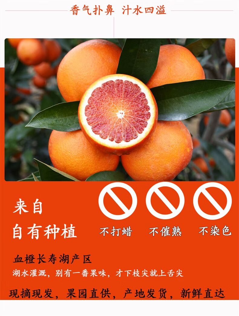 塔罗科血橙新鲜水果应季重庆长寿湖玫瑰血橙当季红心手剥橙子整箱 8斤