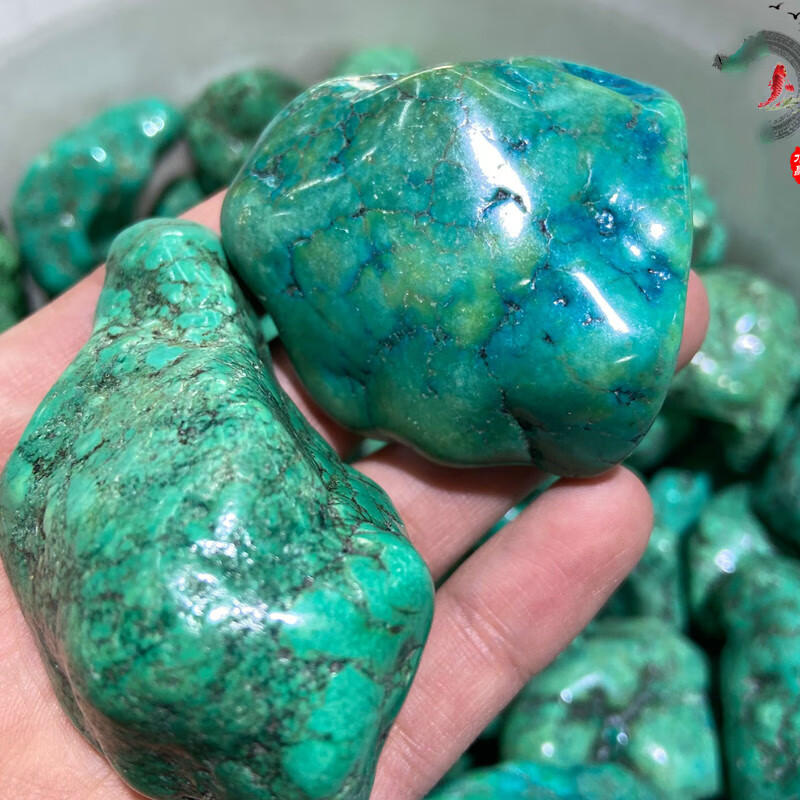 老凤凰绿松石原石毛料 不规则优化绿松石石蓝松石原石毛料练手料sn