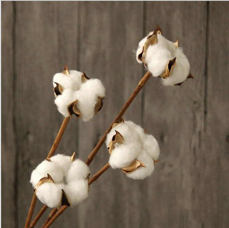 仿真棉花干花 客厅装饰插花 拍摄道具艺术手工复古真花永生花 黄色