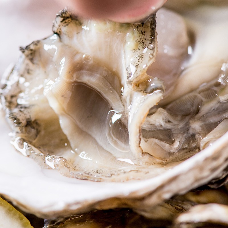 京东plus会员:乳山鲜活生蚝 海蛎子 xl 2.5kg(约20-25个 )