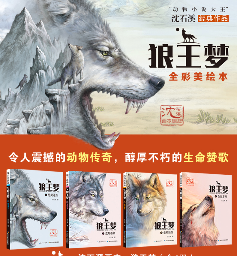 沈石溪画本 狼王梦(套装) 儿童文学动物小说书籍 四五六年级中小学生