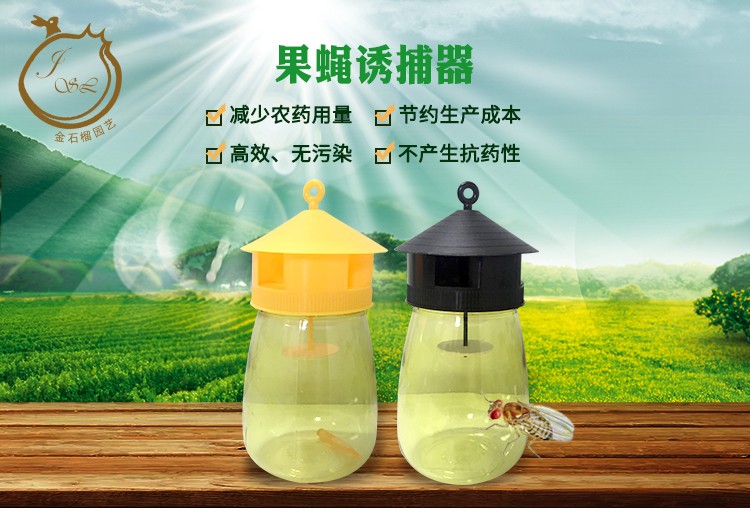 沃绣 金石榴园艺 果园菜地瓜果实蝇针蜂 果蝇诱捕器 果蝇引诱剂性诱剂